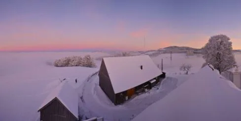 Webcam St. Gallen Oberkapf