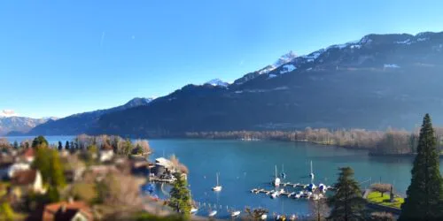 Webcams in Amden und Weesen