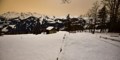 Avisec-Webcams liefern ausnahmsweise wirklich gelbe Bilder